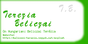 terezia beliczai business card